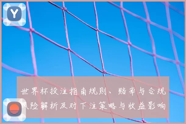 世界杯投注指南规则、赔率与合规风险解析及对下注策略与收益影响