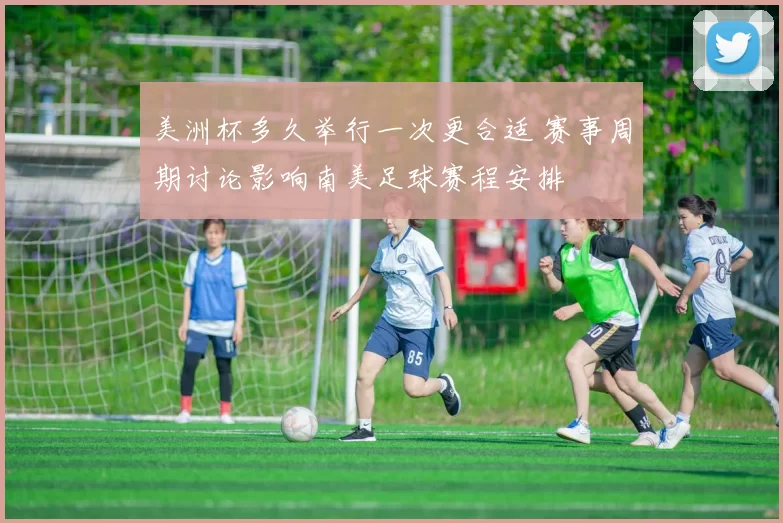 美洲杯多久举行一次更合适 赛事周期讨论影响南美足球赛程安排