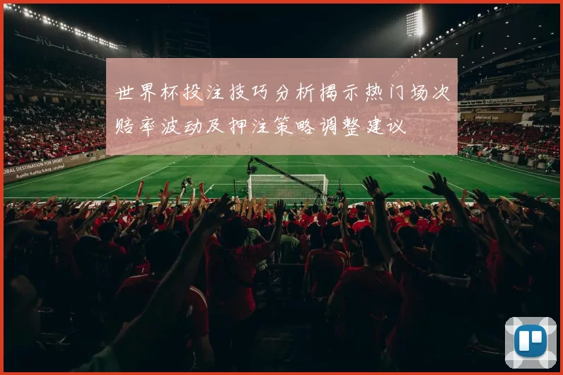 世界杯投注技巧分析揭示热门场次赔率波动及押注策略调整建议