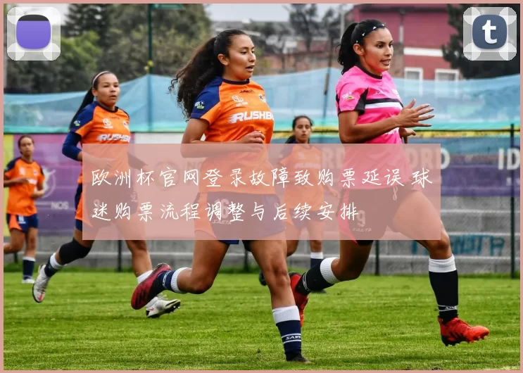 欧洲杯官网登录故障致购票延误 球迷购票流程调整与后续安排