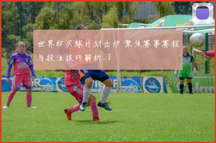 世界杯买球计划出炉 聚焦赛事赛程与投注技巧解析_1